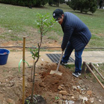 1070307植樹活動