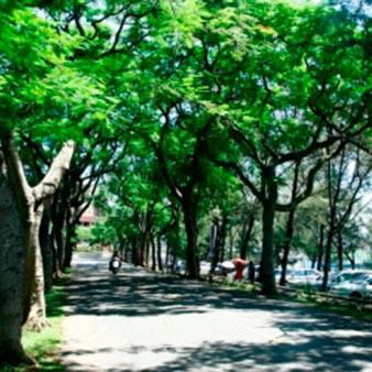 約農路(7張照片)