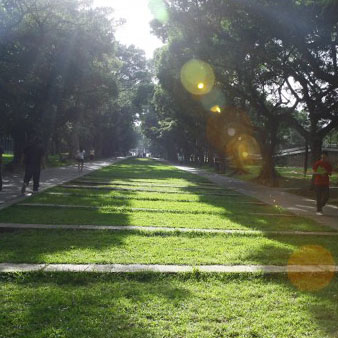 文理大道(14張照片)