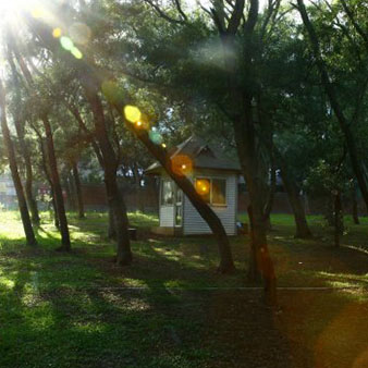 相思林小徑(5張照片)