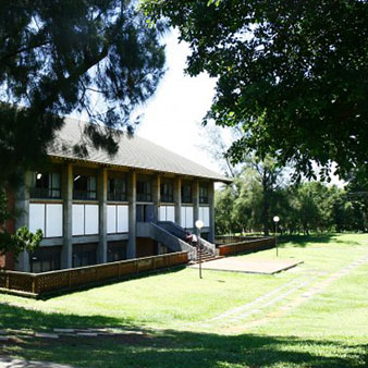 體育館(7張照片)